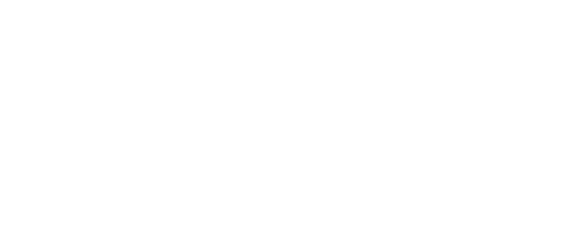 VIOSENSE Logo